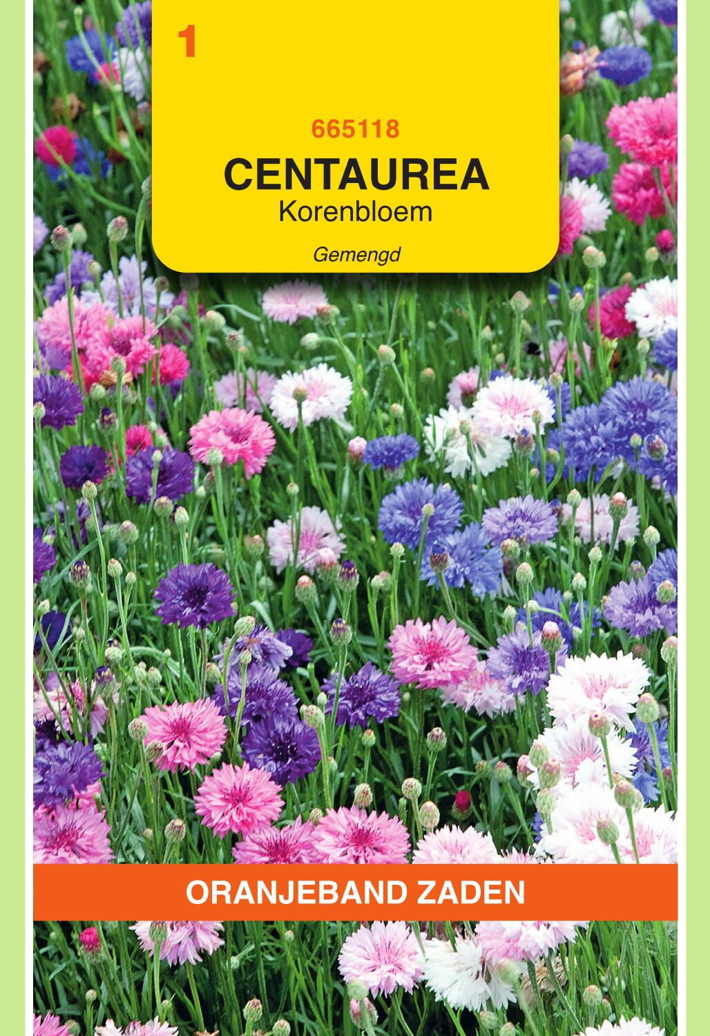 OBZ Korenbloem Zaden Dubbelbloemig Gemengd