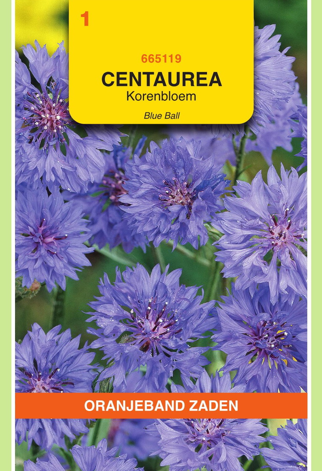OBZ Korenbloem Zaden Blue Ball