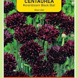 OBZ Korenbloem Zaden Black Ball