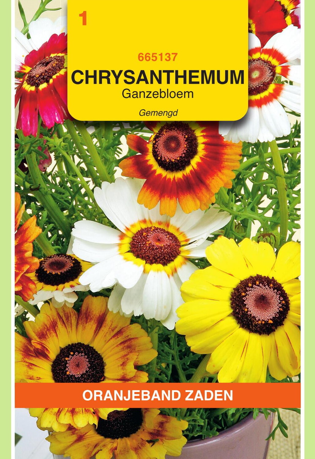 OBZ Ganzenbloem Zaden Gemengd