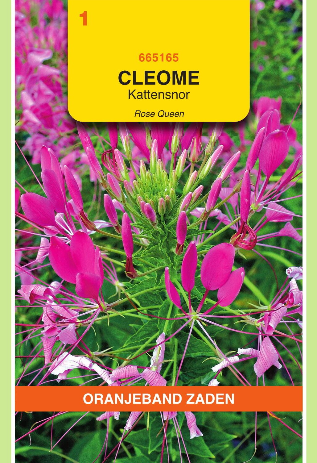 OBZ Kattensnor Zaden Roze