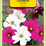OBZ Cosmea Zaden Sensation Gemengd