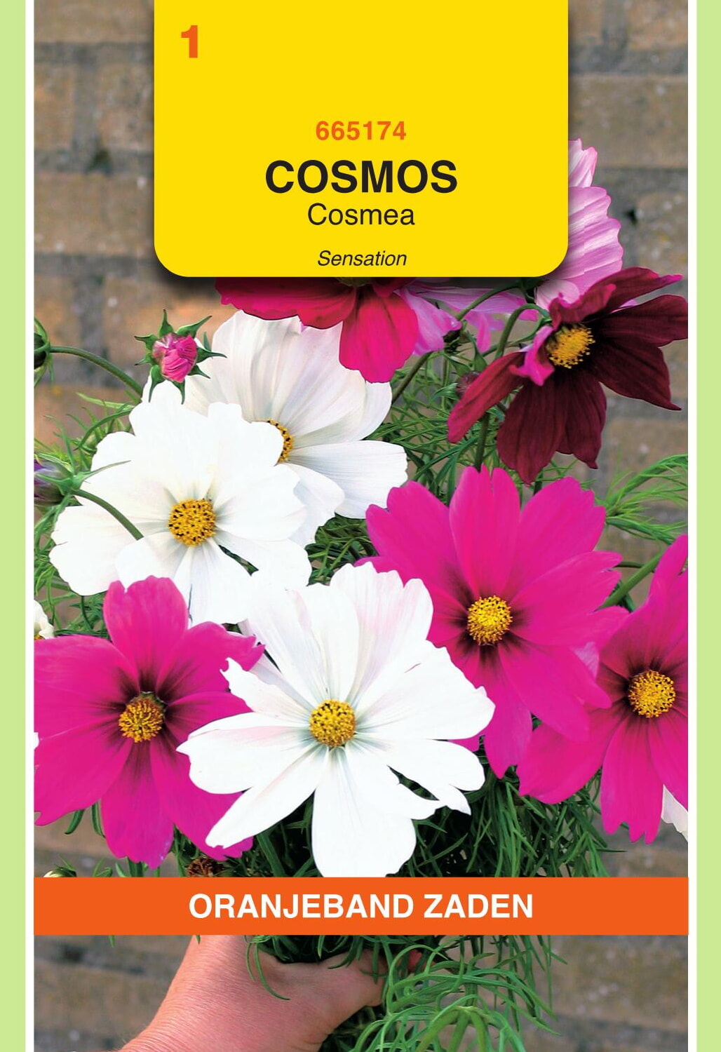 OBZ Cosmea Zaden Sensation Gemengd