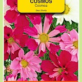 OBZ Cosmea Zaden Sea Shells Gemengd