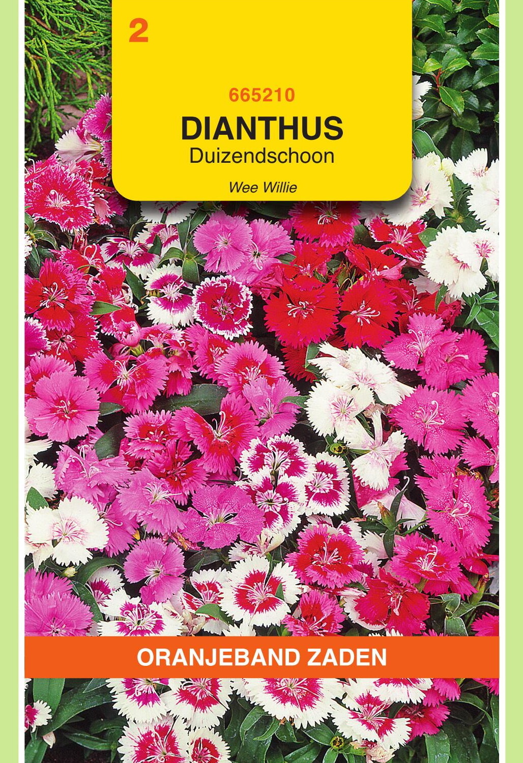 OBZ Duizendschoon Zaden Wee Willie Gemengd