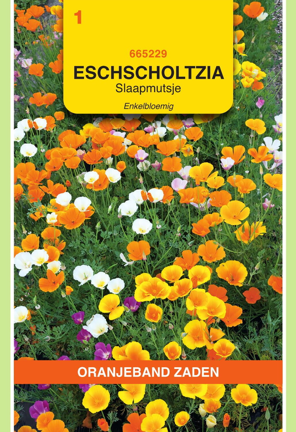 OBZ Slaapmutsje Zaden Enkelbloemig Gemengd