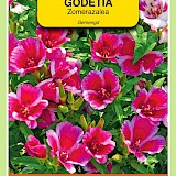 OBZ Zomerazalea Zaden Gemengd