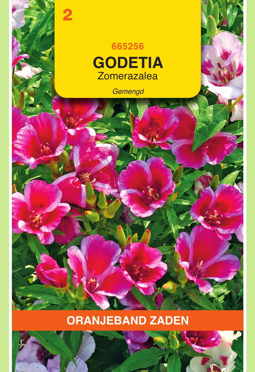 OBZ Zomerazalea Zaden Gemengd