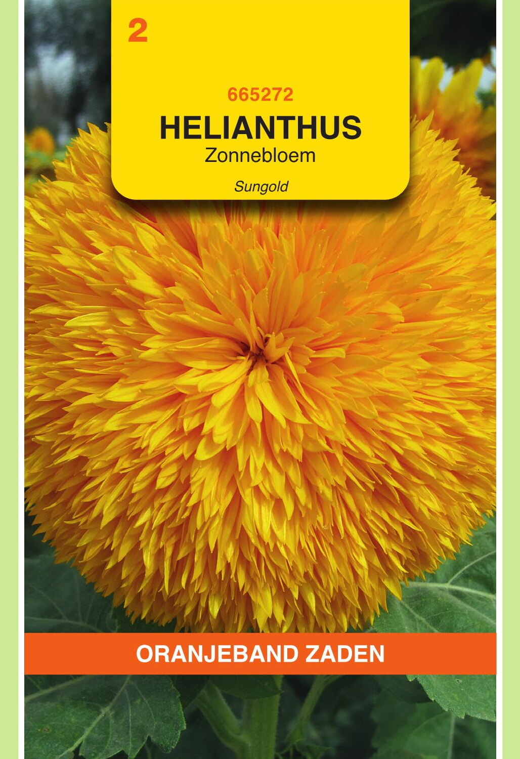 OBZ Zonnebloem Zaden Sungold Dubbelbloemig Hoog