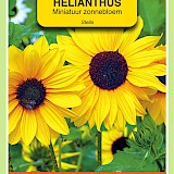 OBZ Miniatuur Zonnebloem Zaden Stella