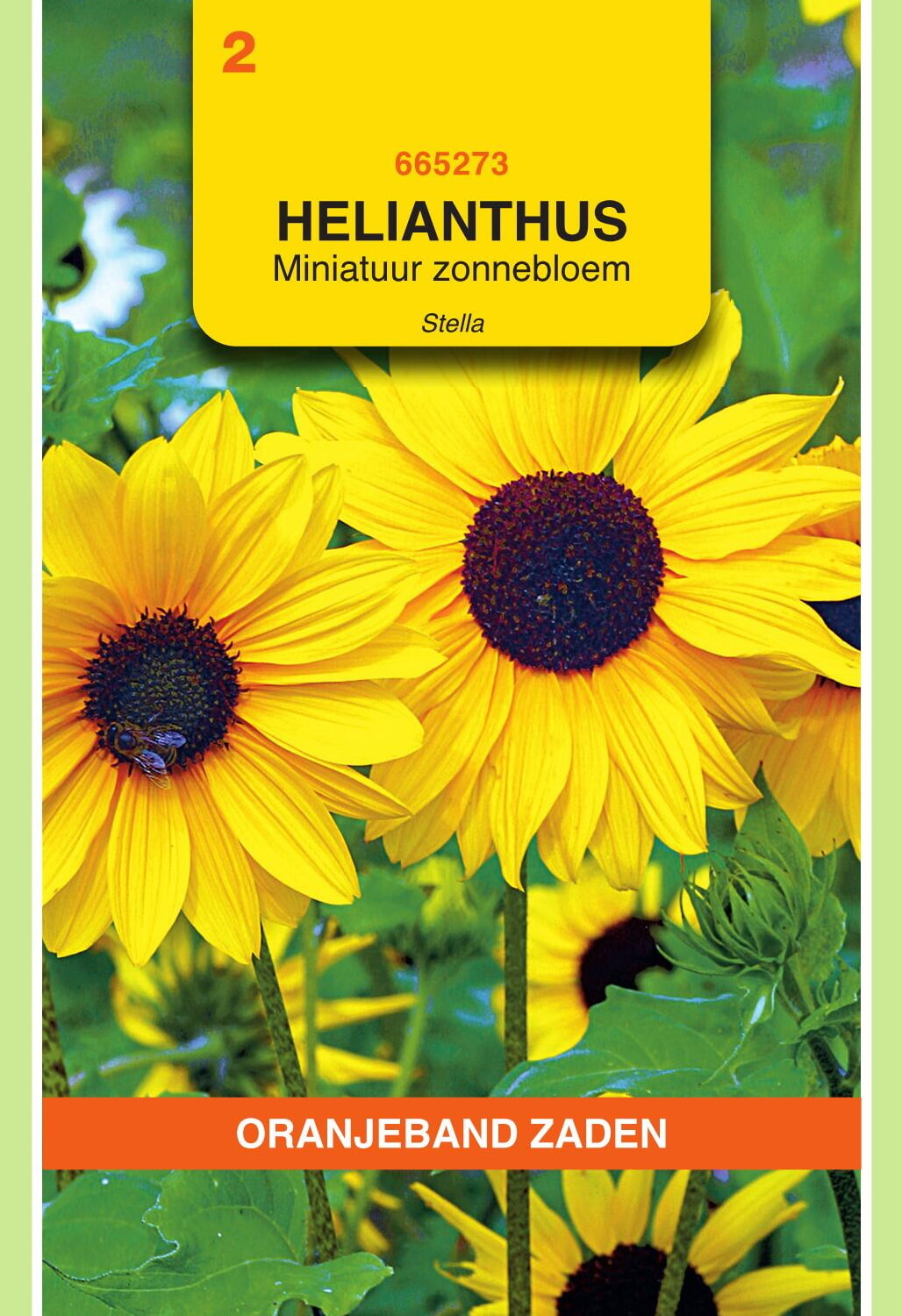 OBZ Miniatuur Zonnebloem Zaden Stella