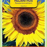 OBZ Zonnebloem Zaden Giganteus