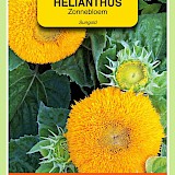 OBZ Zonnebloem Zaden Sungold Dubbelbloemig Laag