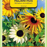 OBZ Miniatuur Zonnebloem Zaden Gemengd