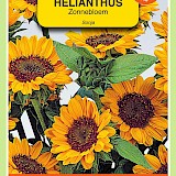 OBZ Zonnebloem Zaden Sonja