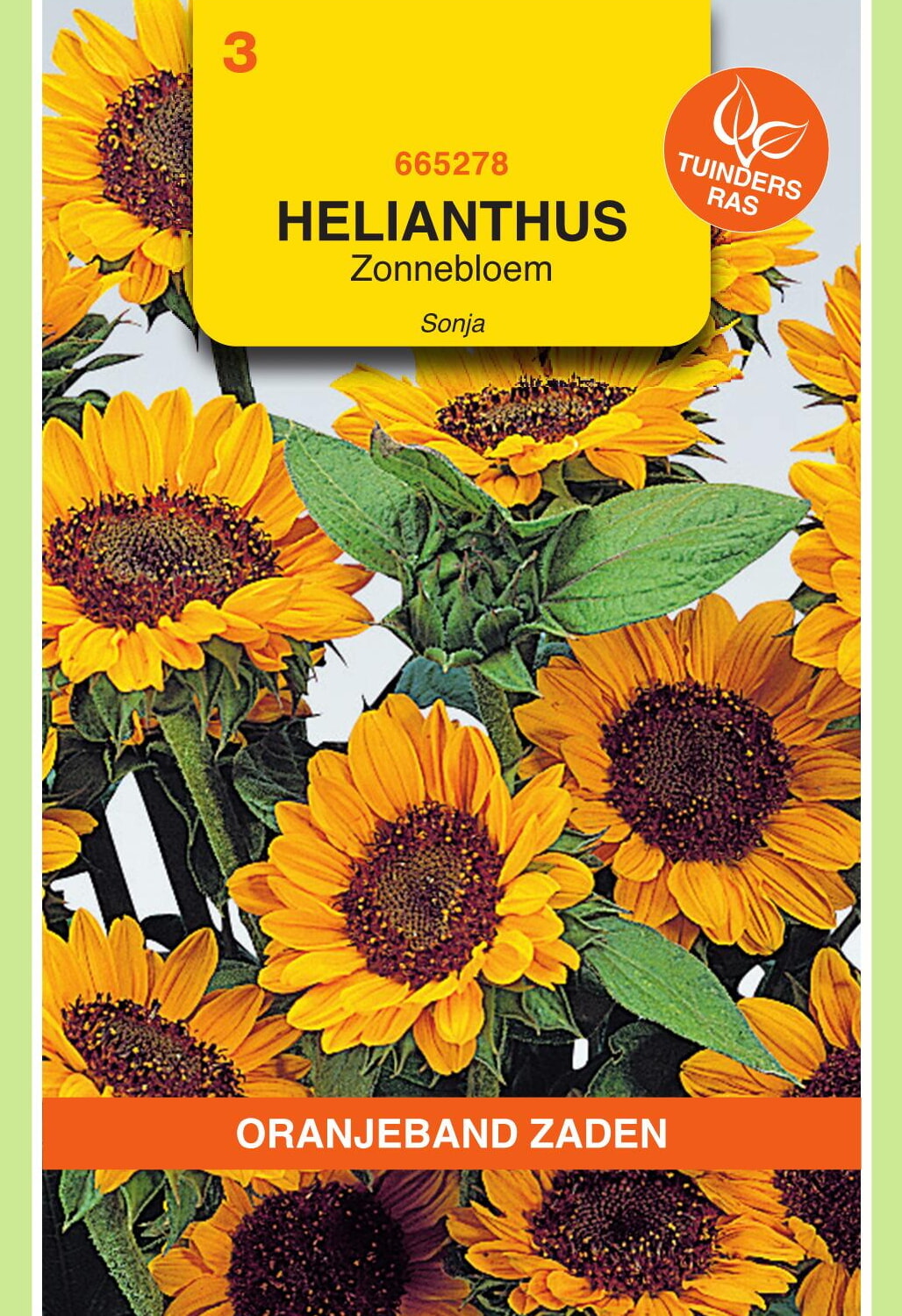 OBZ Zonnebloem Zaden Sonja