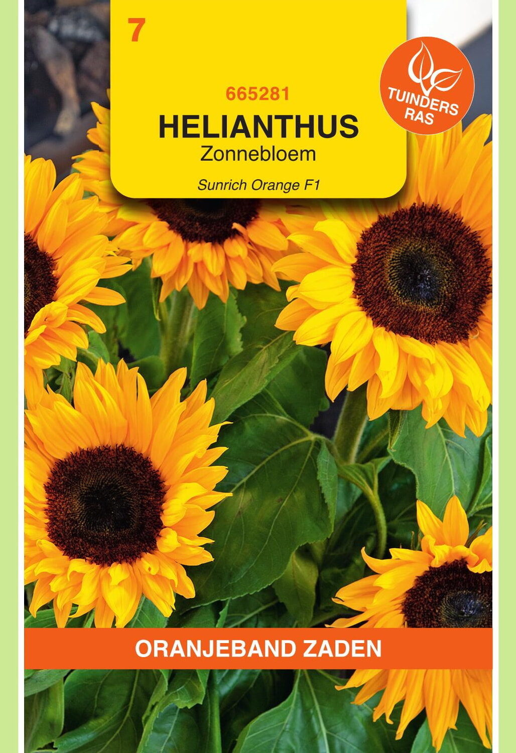 OBZ Zonnebloem Zaden Sunrich Orange F1