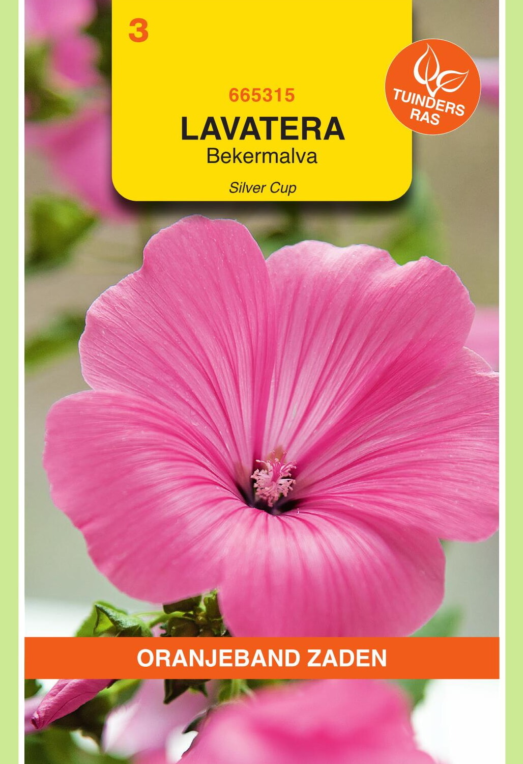 OBZ Bekermalva Zaden Silver Cup