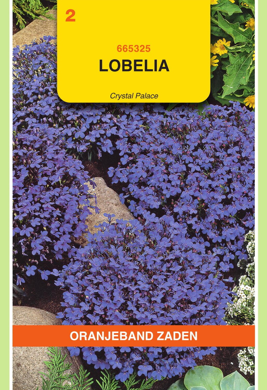 OBZ Lobelia Zaden Crystal Palace