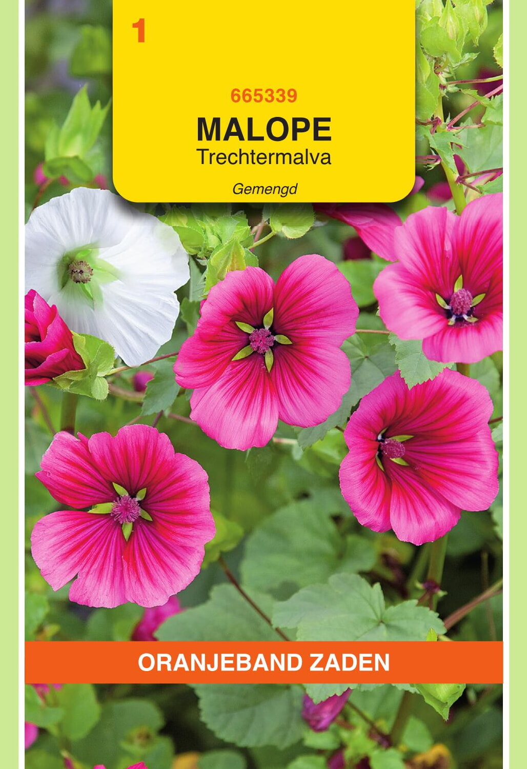 OBZ Trechtermalva Zaden Gemengd