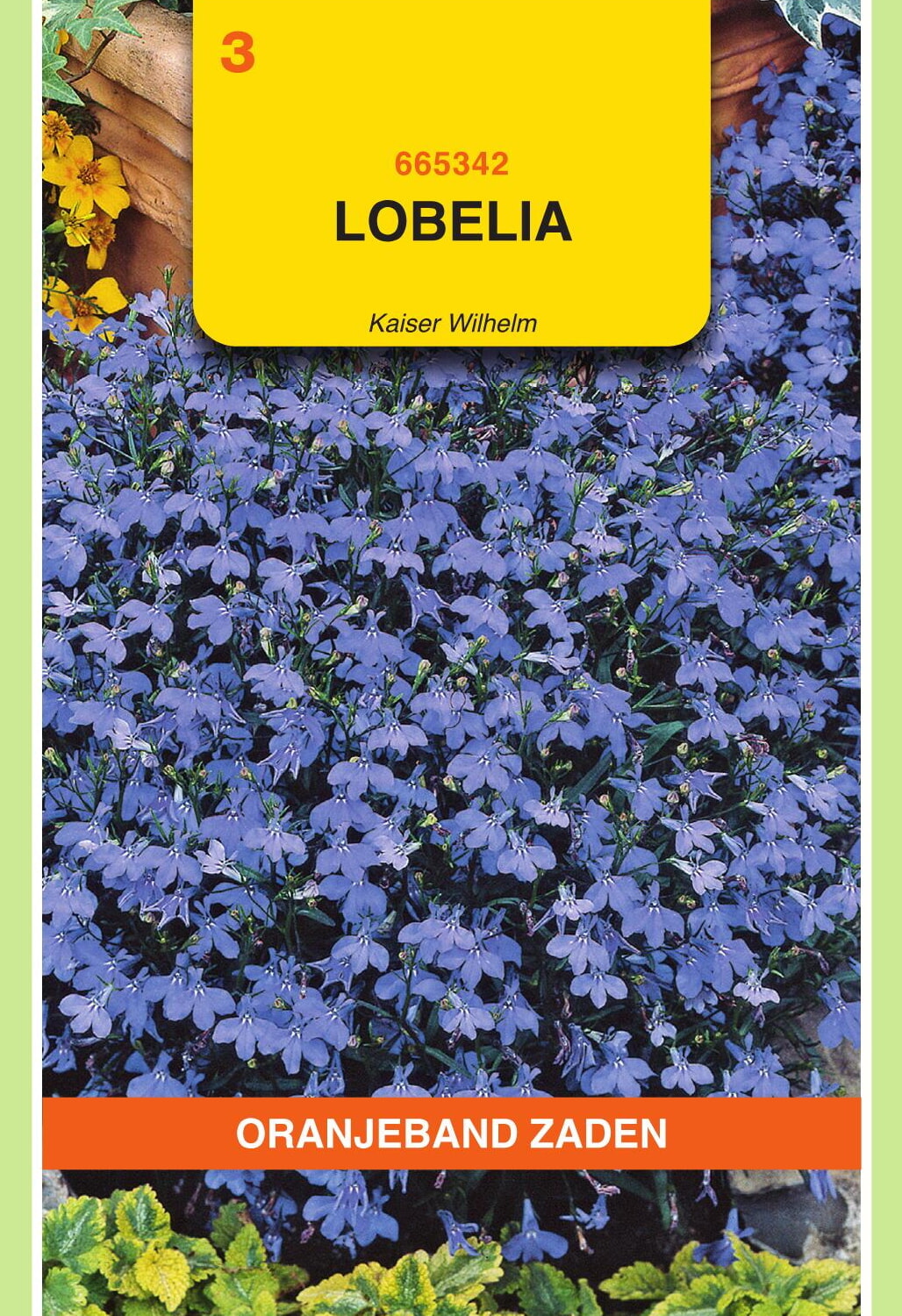 OBZ Lobelia Zaden Kaiser Wilhelm