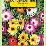 OBZ IJsbloemen Zaden Gemengd