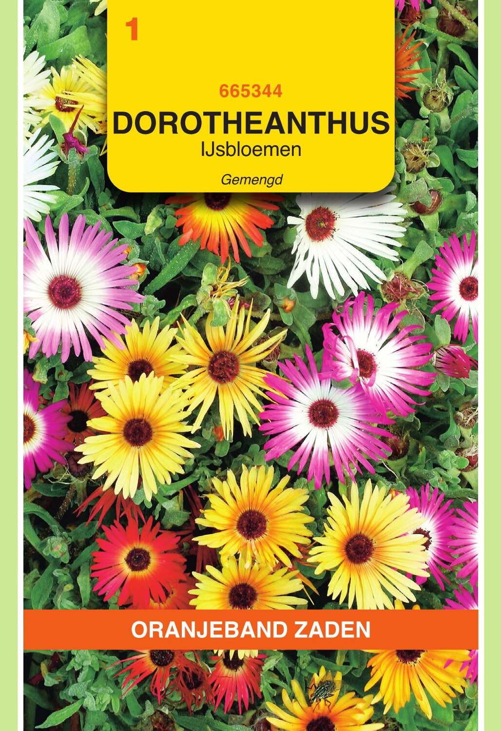 OBZ IJsbloemen Zaden Gemengd