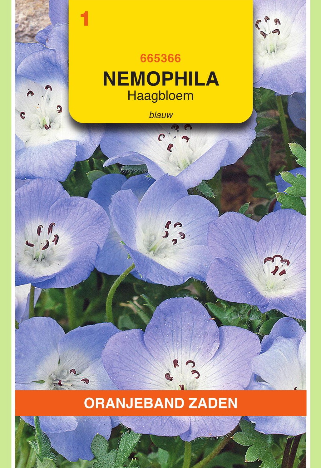 OBZ Haagbloem Zaden Blauw