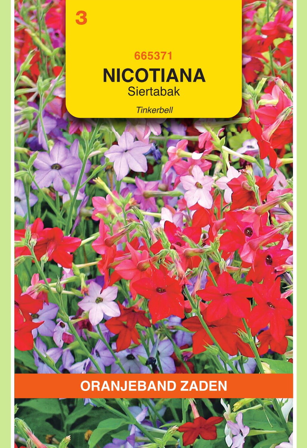 OBZ Siertabak Zaden Tinkerbell Gemengd