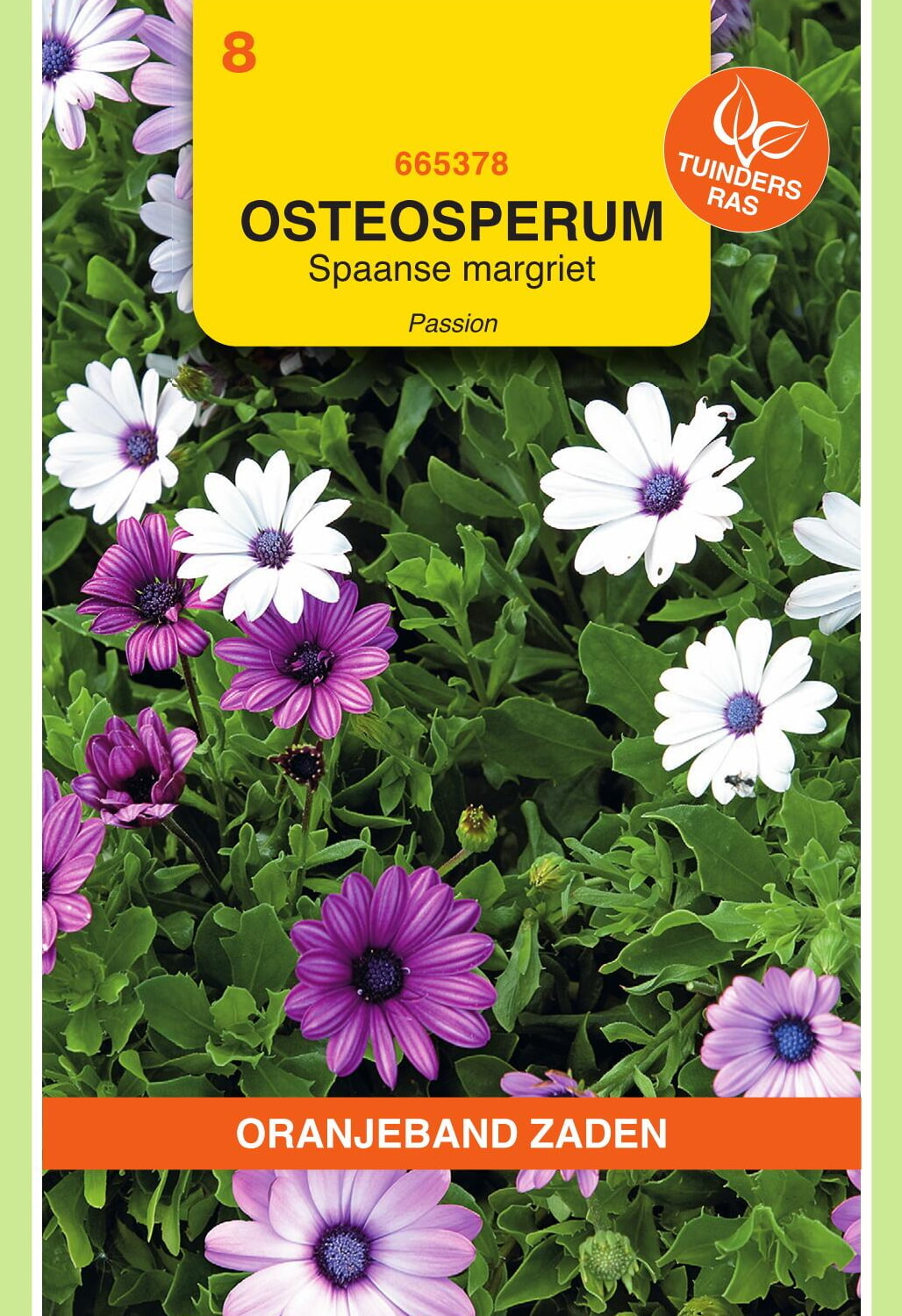 OBZ Spaanse Margriet Zaden Passion Gemengd