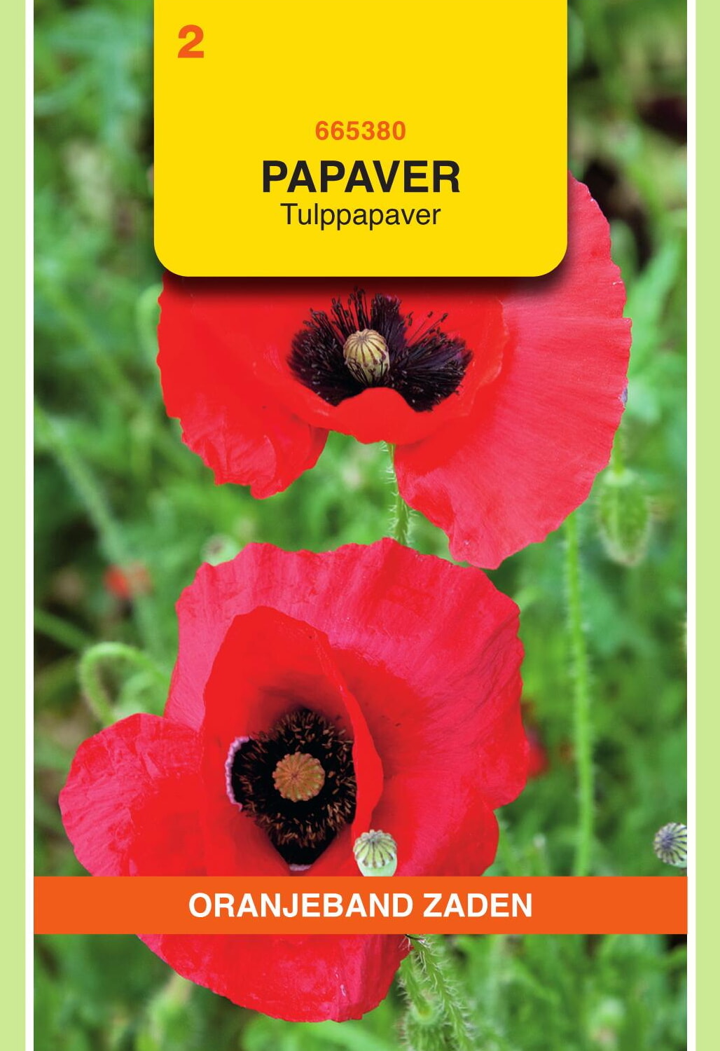 OBZ Tulppapaver Zaden