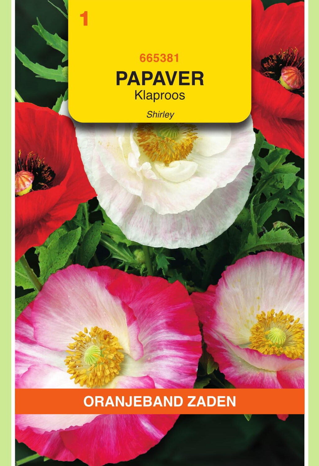 OBZ Klaproos Zaden Shirley