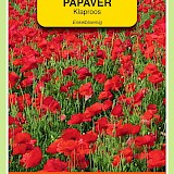 OBZ Papaver Klaproos Zaden Enkelbloemig Gewone