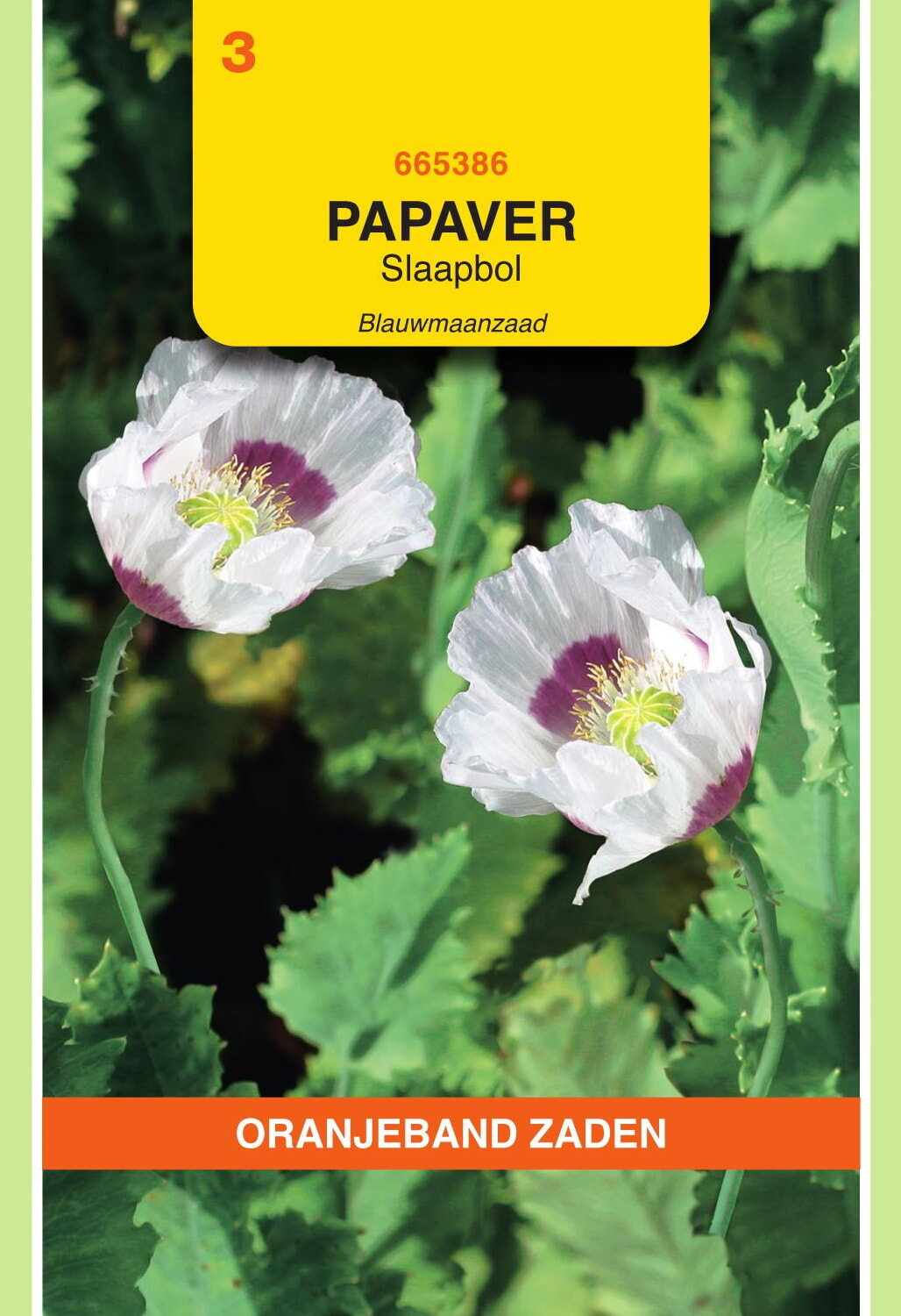 OBZ Papaver Slaapbol Zaden Blauwmaanzaad