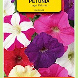 OBZ Petunia Zaden Laag Gemengd