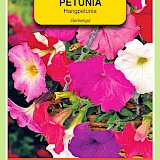 OBZ Hangpetunia Zaden Gemengd