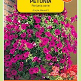 OBZ Petunia Zaden Purple Wave F1 Fortunia Serie