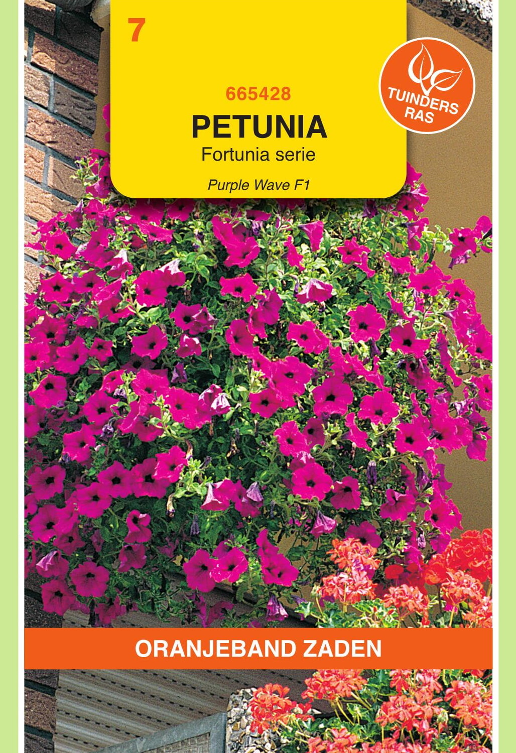 OBZ Petunia Zaden Purple Wave F1 Fortunia Serie