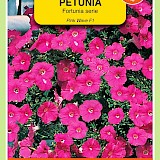 OBZ Petunia Zaden Pink Wave F1 Fortunia Serie