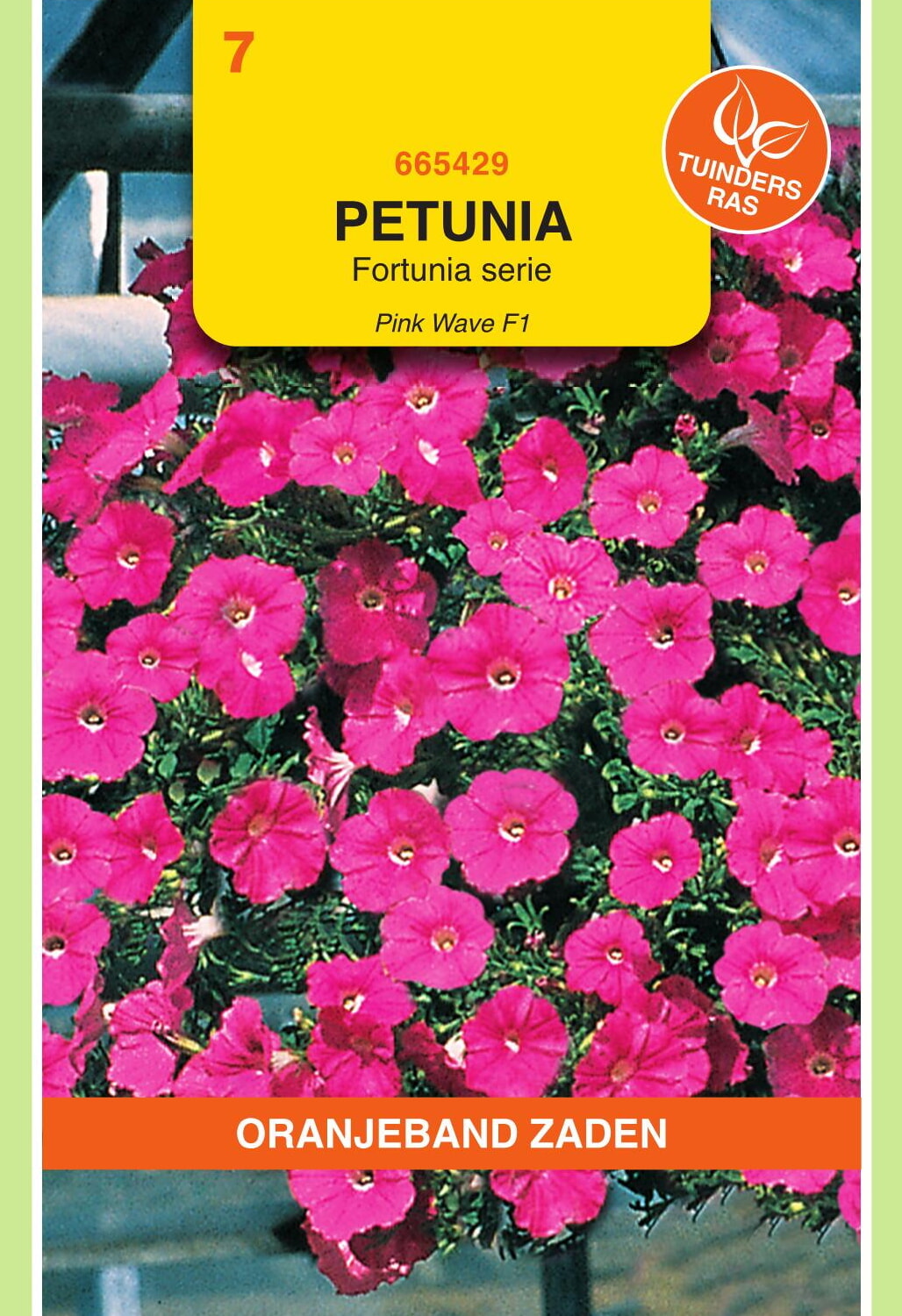 OBZ Petunia Zaden Pink Wave F1 Fortunia Serie