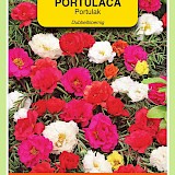 OBZ Portulak Zaden Dubbelbloemig Gemengd