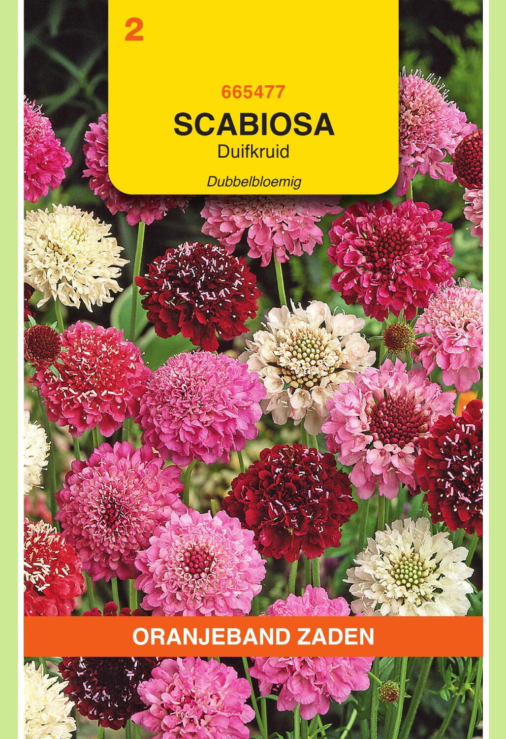 OBZ Duifkruid Zaden Dubbelbloemig