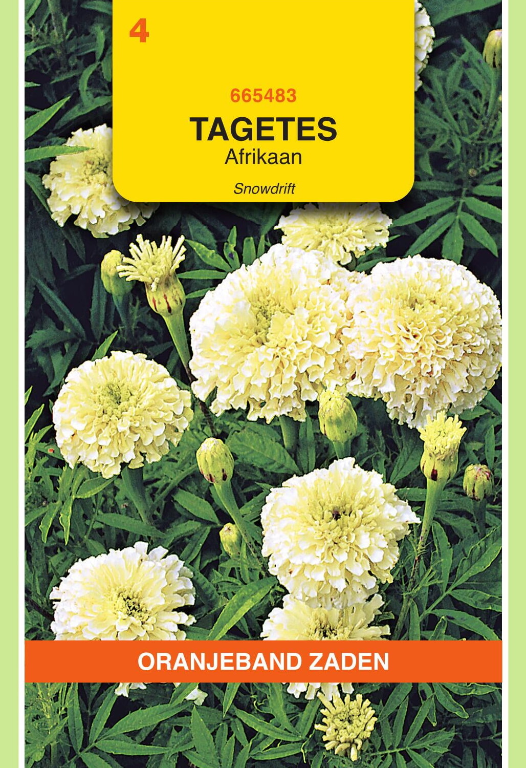 OBZ Tagetes Afrikaan Zaden Snowdrift