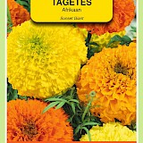 OBZ Tagetes Afrikaan Zaden Sunset Giants Gemengd
