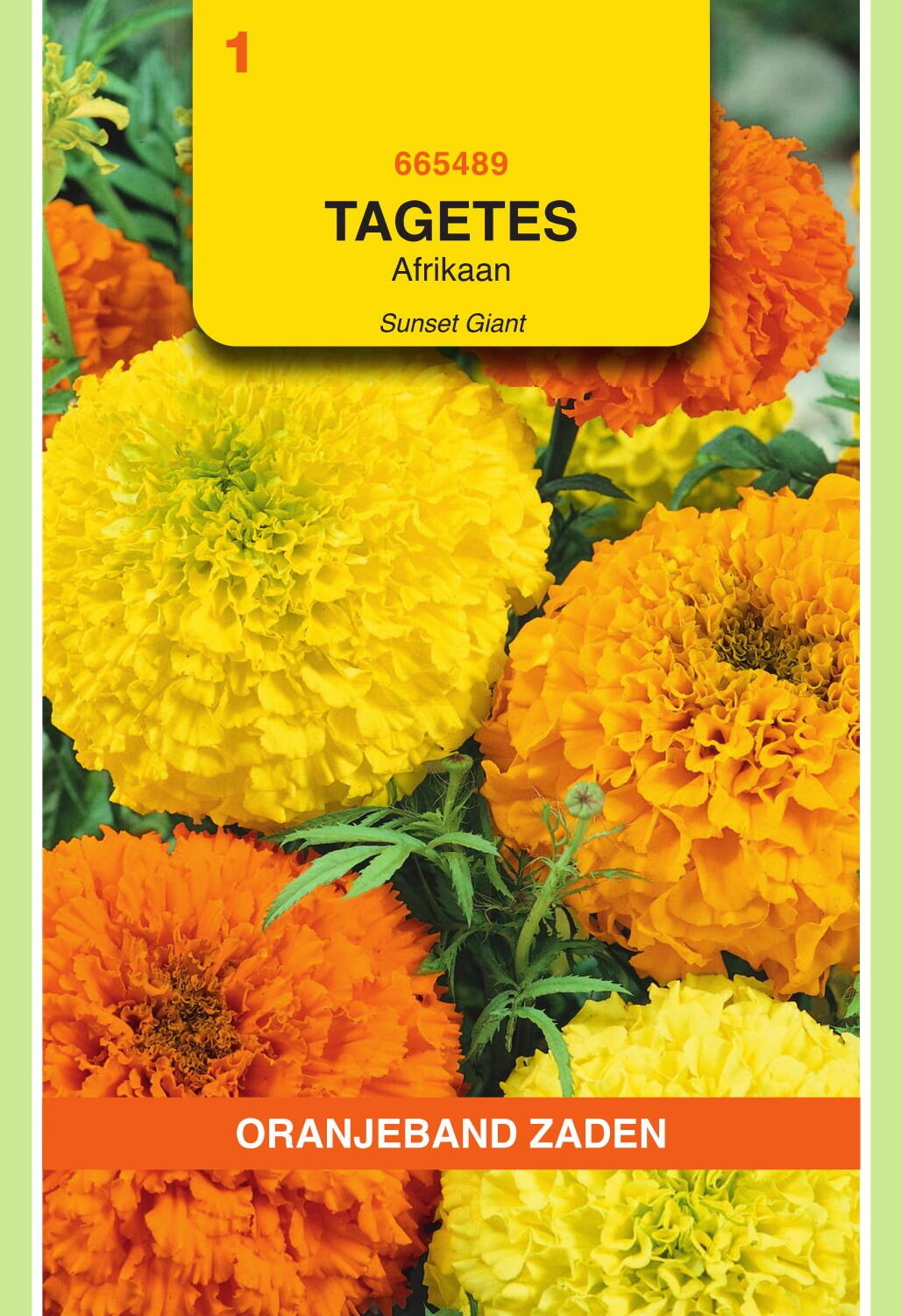 OBZ Tagetes Afrikaan Zaden Sunset Giants Gemengd