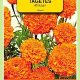 OBZ Tagetes Afrikaan Zaden Hawaii