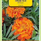 OBZ Tagetes Afrikaan Zaden Tangerine