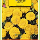 OBZ Tagetes Afrikaan Zaden Gypsy Sunshine