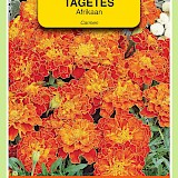 OBZ Tagetes Afrikaan Zaden Carmen