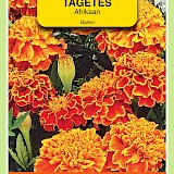 OBZ Tagetes Afrikaan Zaden Bolero Vh Queen Sophia